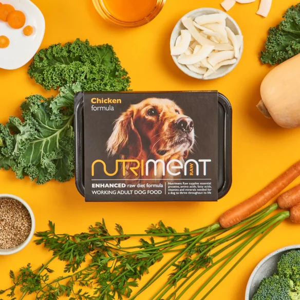 Nutriment Working Dog Chicken Formula Adult 500g