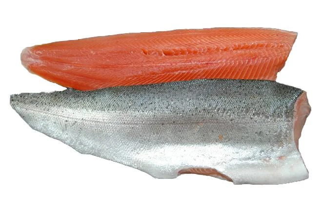 Rainbow Trout Fillet - Freshwater