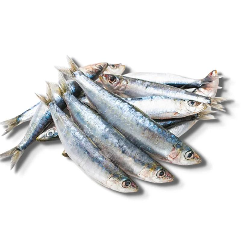 IW Sardines (frozen)