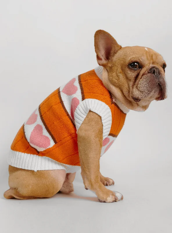 Kingdom Hearts Dog Sweater